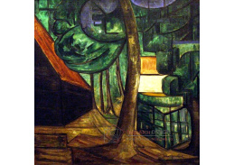 A-6716 Jacob van Heemskerck - Krajina