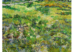 VR2-278 Vincent van Gogh - Louka v zahradě nemocnice Saint-Paul