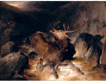 VSO 408 Edwin Henry Landseer - Raněný jelen