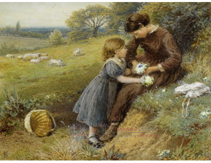 KO III-279 Myles Birket Foster - Petrklíče