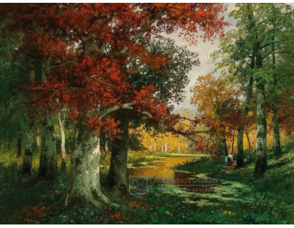 A-1624 Adolf Kaufmann - Podzimní lesní krajina