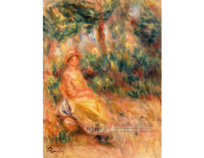 D-6904 Pierre-Auguste Renoir - Žena v růžovém a žlutém