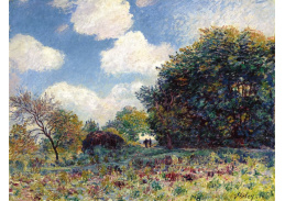 KO III-19 Alfred Sisley - Na okraji lesa