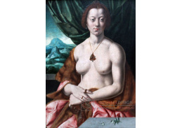 KO V-388 Bartholomäus Bruyn - Sedicí akt