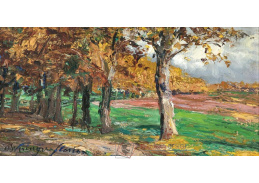 A-8809 Olga Wisinger-Florian - Studie platanové aleje