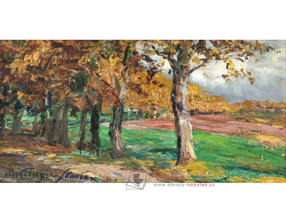 A-8809 Olga Wisinger-Florian - Studie platanové aleje