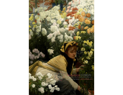 VR16-15 James Tissot - Chryzantény