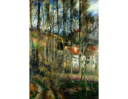 VCP-473 Camille Pissarro - Domy v Hermitage