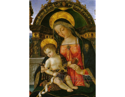 SO VII-185 Pinturicchio - Madonna s dítětem