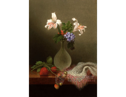 A-1478 Martin Johnson Heade - Váza kukuřičných lilií