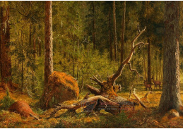 D-6599 Carl Bogh - Lesní scéna s jeleny