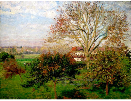 VCP-407 Camille Pissarro - Velký ořešák v podzimní ráno v Eragny