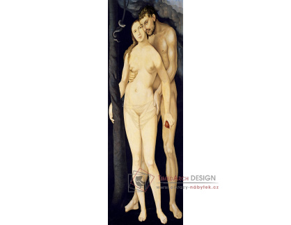 DDSO-2504 Hans Baldung - Adam a Eva