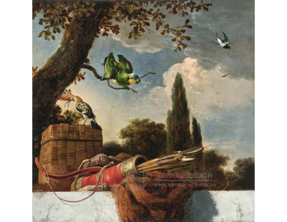 A-8841 Melchior d’Hondecoeter - Dudek, andulka a vlaštovka spolu s toulcem, šípy, kuší a sítí