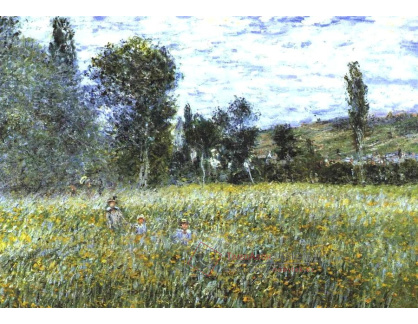 VCM 55 Claude Monet - Louka u Vetheuil