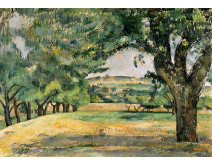 DDSO-4081 Paul Cézanne - V blízkosti Jas de Bouffan