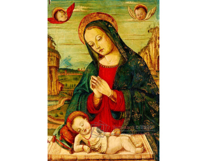 DDSO-2705 Girolamo da Treviso - Madonna s dítětem