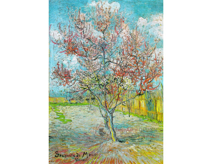 VR2-362 Vincent van Gogh - Kvetoucí broskvoně