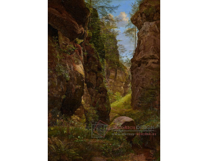 D-7764 August Heinrich - Felsenschlucht v Saském Švýcarsku