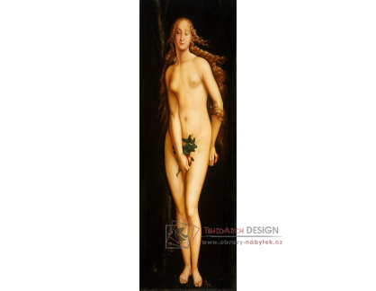 DDSO-2507 Hans Baldung - Eva