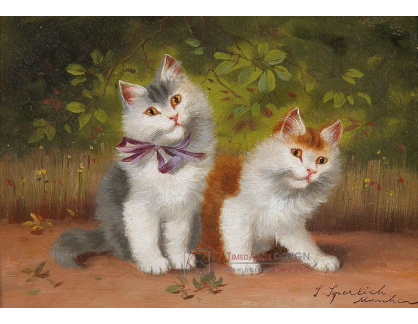 DDSO-4238 Sophie Sperlich - Dvě koťata