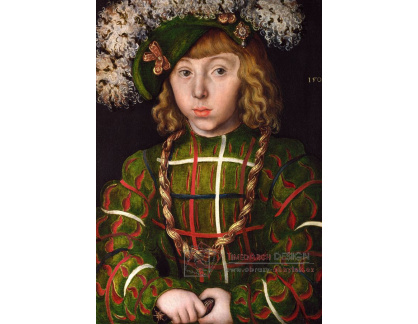 VlCR-34 Lucas Cranach - Portrét Johanna Friedricha Magnanimouse