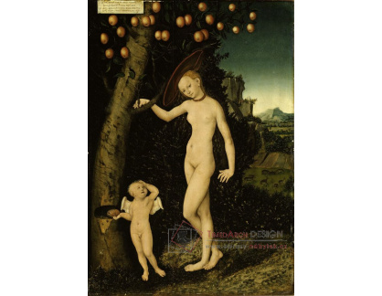 VlCR-171 Lucas Cranach - Amor a Venuše