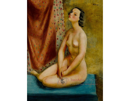 A-8209 Moise Kisling - Nesedím