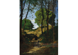 KO V-443 Henri Harpignies - Jedle v Trembleaux