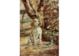 D-7885 Henri de Toulouse-Lautrec - Umělecův pes Fleche