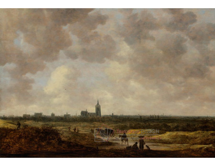 DDSO-2173 Jan van Goyen - Pohled na Haag