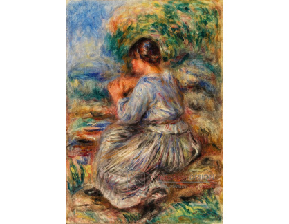 D-6916 Pierre-Auguste Renoir - Dívka sedící v krajině