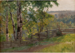 KO I-39 Eero Järnefelt - Březový háj