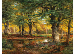 A-5040 Alois Arnegger - Žena sbírající klestí v podzimním lese