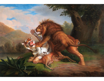 DDSO-3808 Johann Wenzel Peter - Tygr a lev bojují nad laní