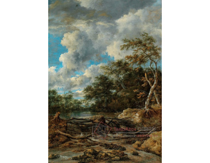 A-2865 Jacob van Ruisdael - Lesní krajina s vodopádem