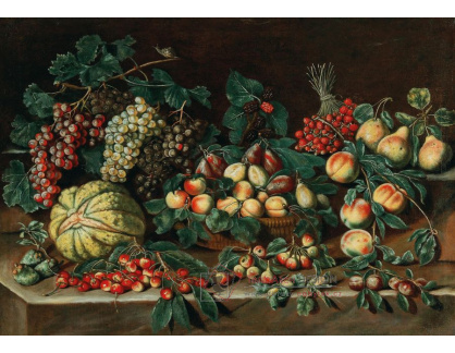 DDSO-4621 Agostino Verrocchio - Hrozny, meloun, jahody, švestky a broskve v koši, třešně a jiné ovoce