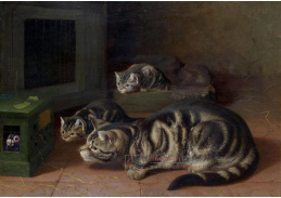 DDSO-1640 Horatio Henry Couldery - Kuriozita