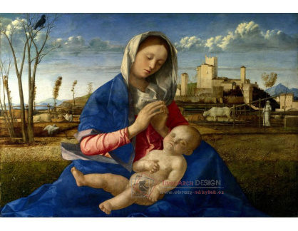 SO VI-289 Giovanni Bellini - Madonna na louce