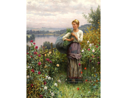 XV-370 Daniel Ridgway Knight - Růže v zahradě