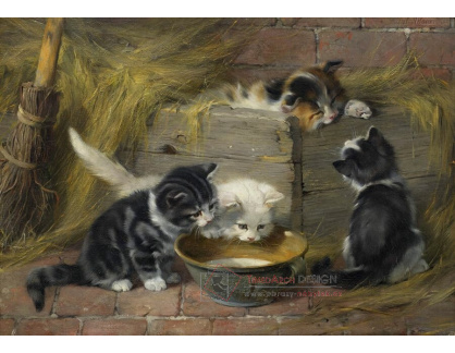 A-7525 Julius Adam - Čtyři kočky s miskou mléka
