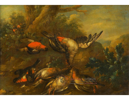 D-8920 Philip Ferdinand Hamilton - Zátiší s mrtvými ptáky