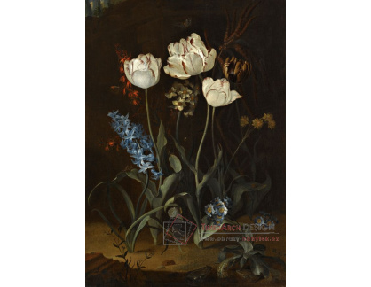 XV-345 Roepel Coenraet - Zátiší s tulipány a hyacinty