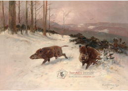 KO IV-452 Moritz Müller - Kancí v zimním lese