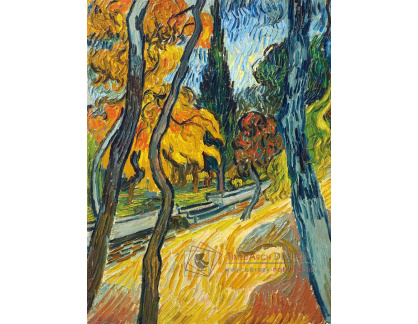 A-3242 Vincent van Gogh - Stromy v zahradě azylového domu
