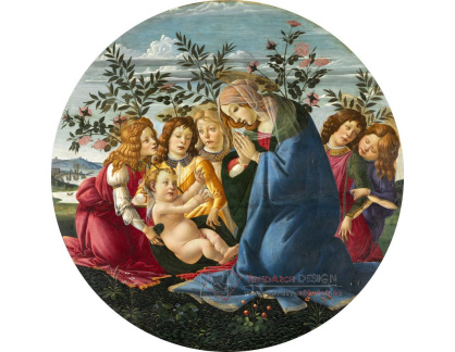 A-93 Sandro Botticelli - Madonna zbožňující dítě s pěti anděly