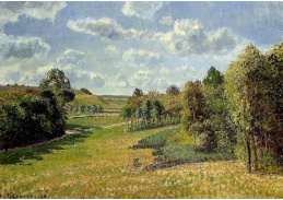 VCP-115 Camille Pissarro - Louky v Bernevalu