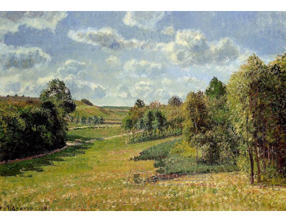 VCP-115 Camille Pissarro - Louky v Bernevalu