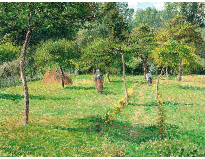 VCP-296 Camille Pissarro - Zahrada v Eragny