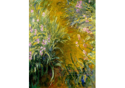 A-298 Claude Monet - Kosatce kolem chodníku